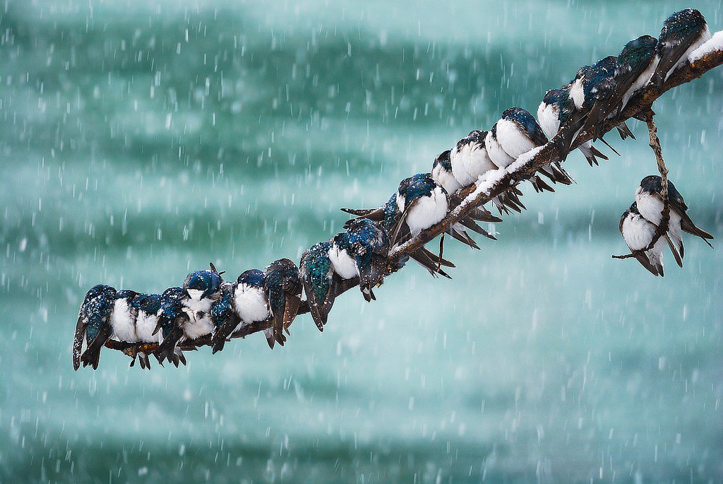 To weather the storm we must stick together