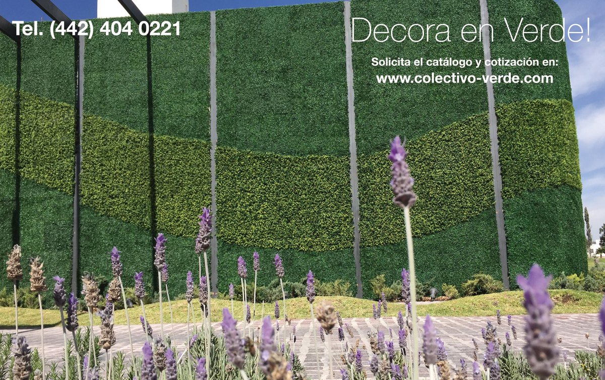 DecoraenVerde's tweet photo. Cotiza tu #MuroVerde con nosotros... https://t.co/sMg6SbkQHP
