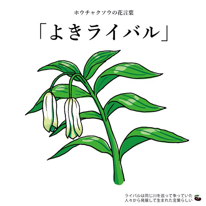 ホウチャクソウのtwitterイラスト検索結果 古い順