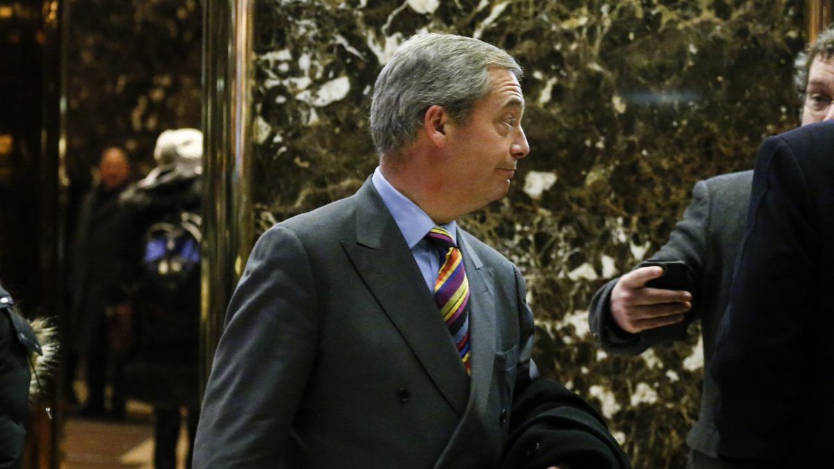 Shauna Reed (@shaunadreed) | Twitter