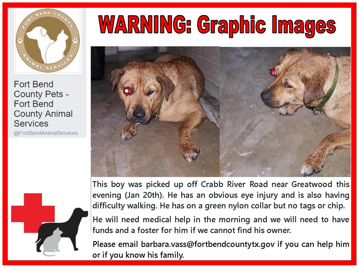 Fort Bend Animal Services on Twitter: Fort Bend Animal Services on Twitter: