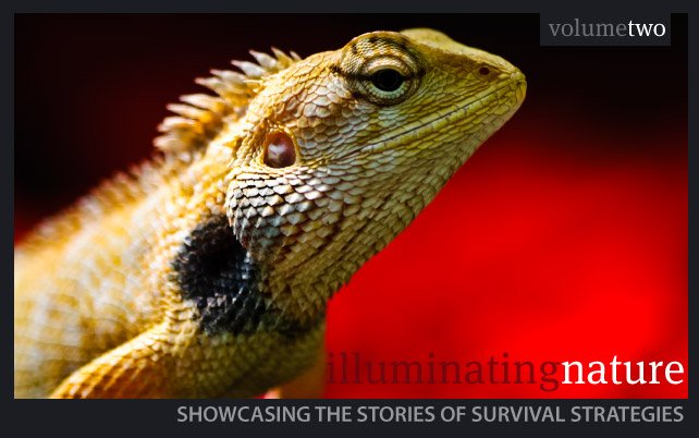 fotoPhilippines's tweet photo. Illuminating Nature Volume Two - https://t.co/8CKXQ1ezot - https://t.co/A709sYvE30