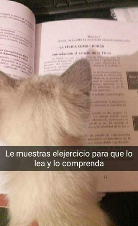 _StevenLeal_'s tweet photo. @TheDaarick28 https://t.co/vDzhMj5Qfa