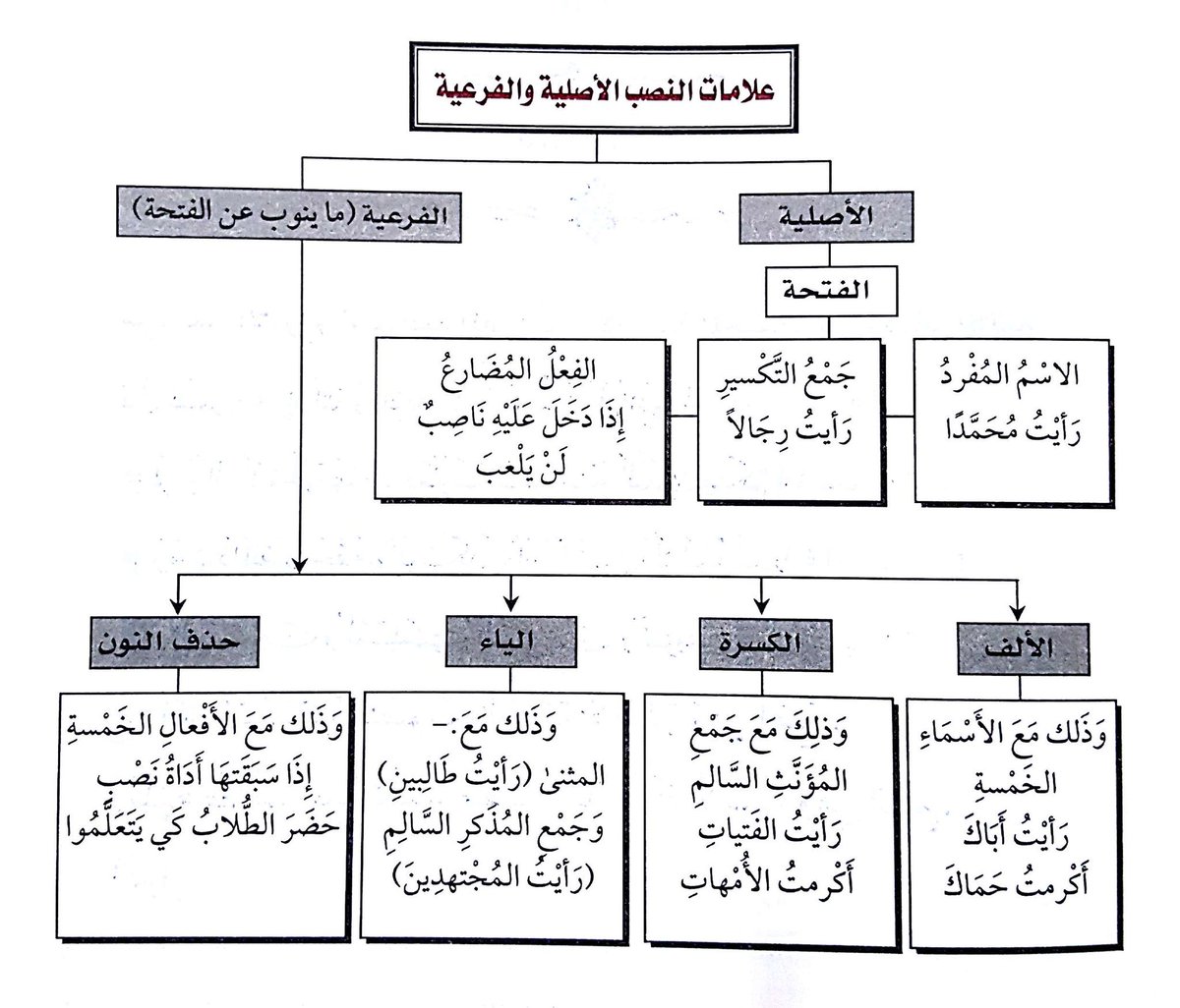 الفرعية علامات النصب علامات النصب