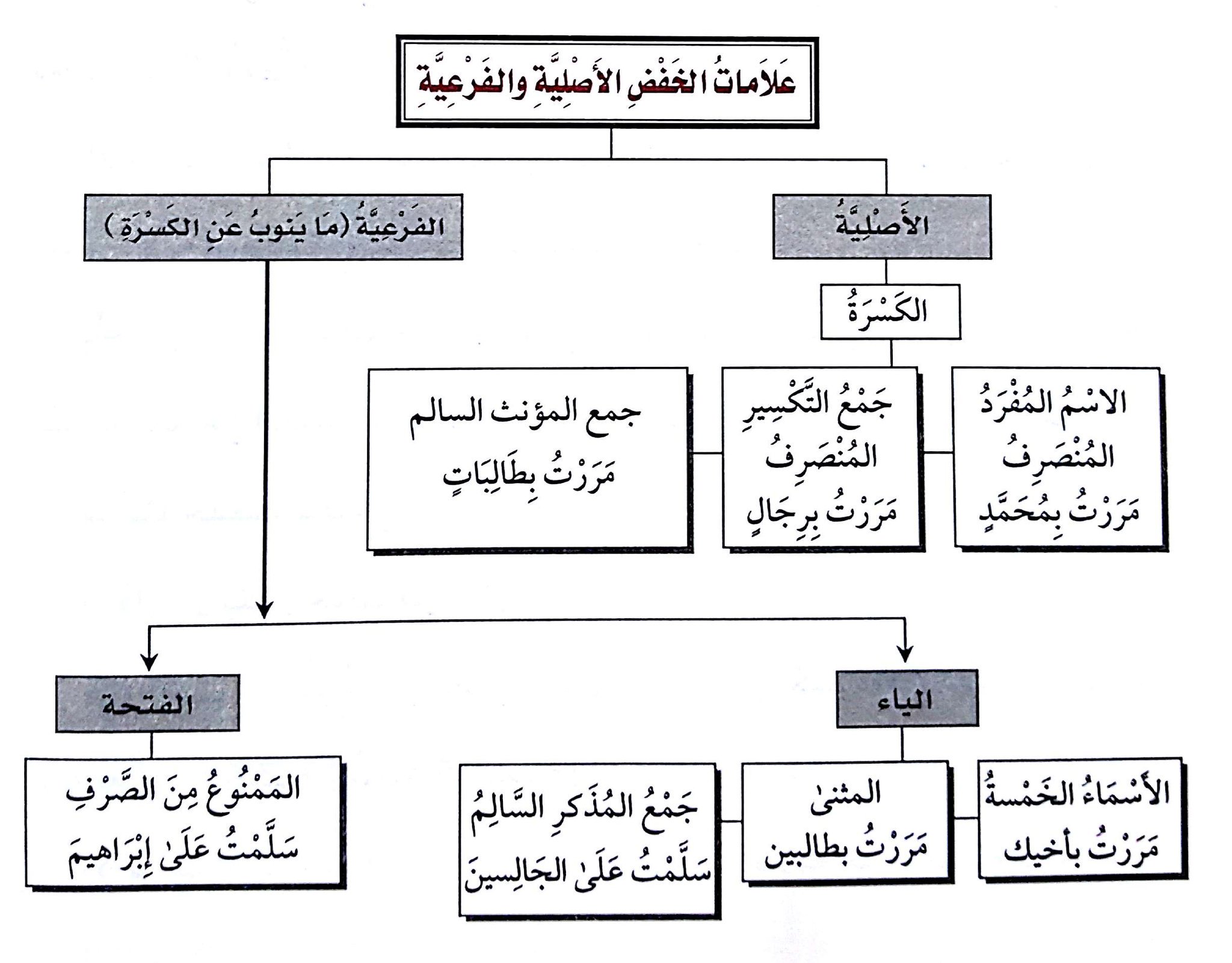 علامة الرفع الأصلية