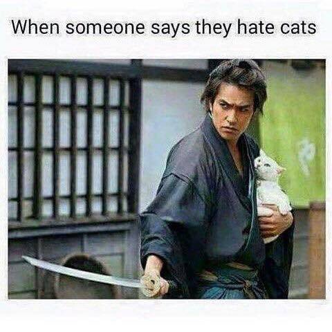 _blubenji's tweet image. 