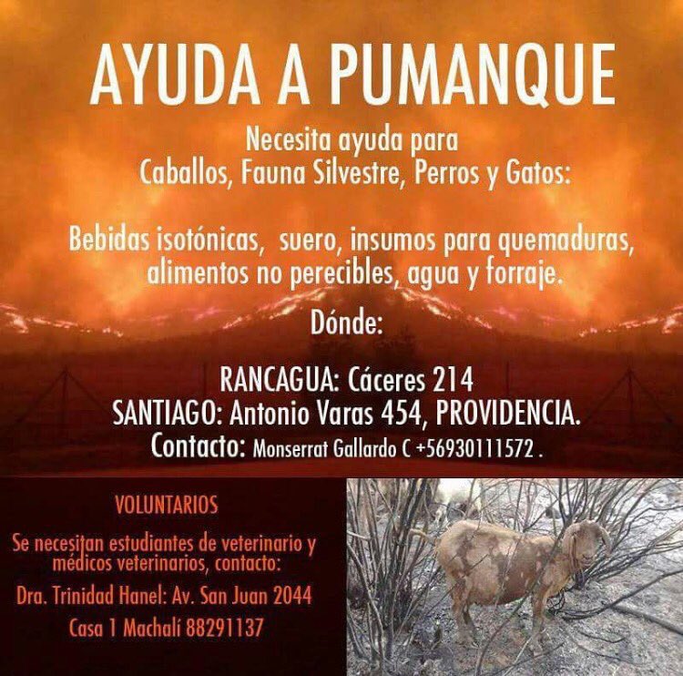 Javierita tweet media