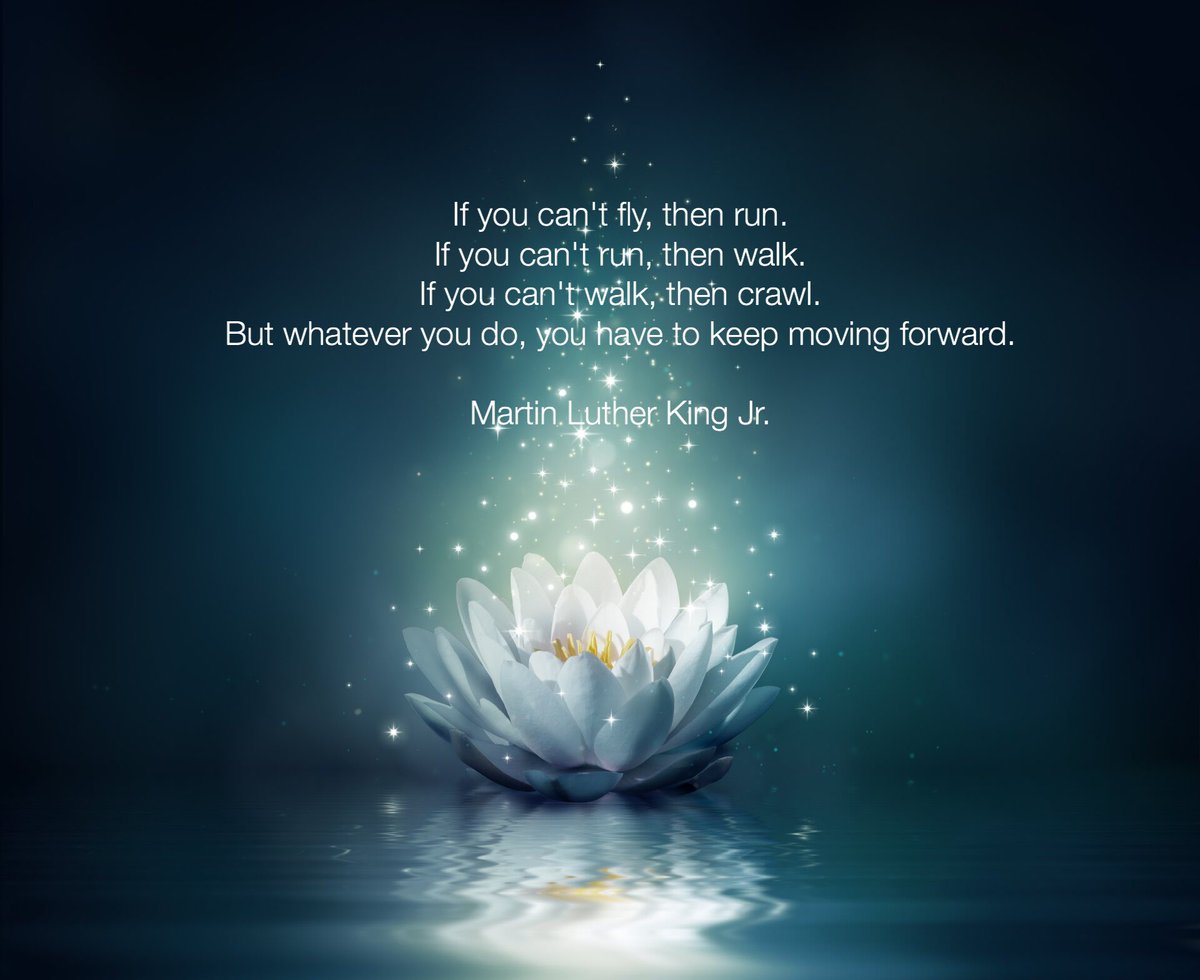 LizBurnette (@lizb_nyla) on Twitter photo 