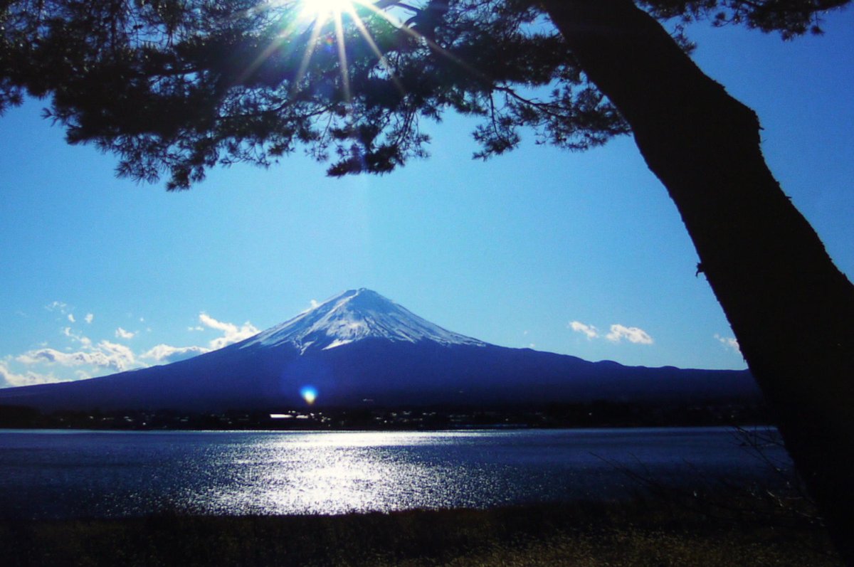 japan15530575 tweet picture