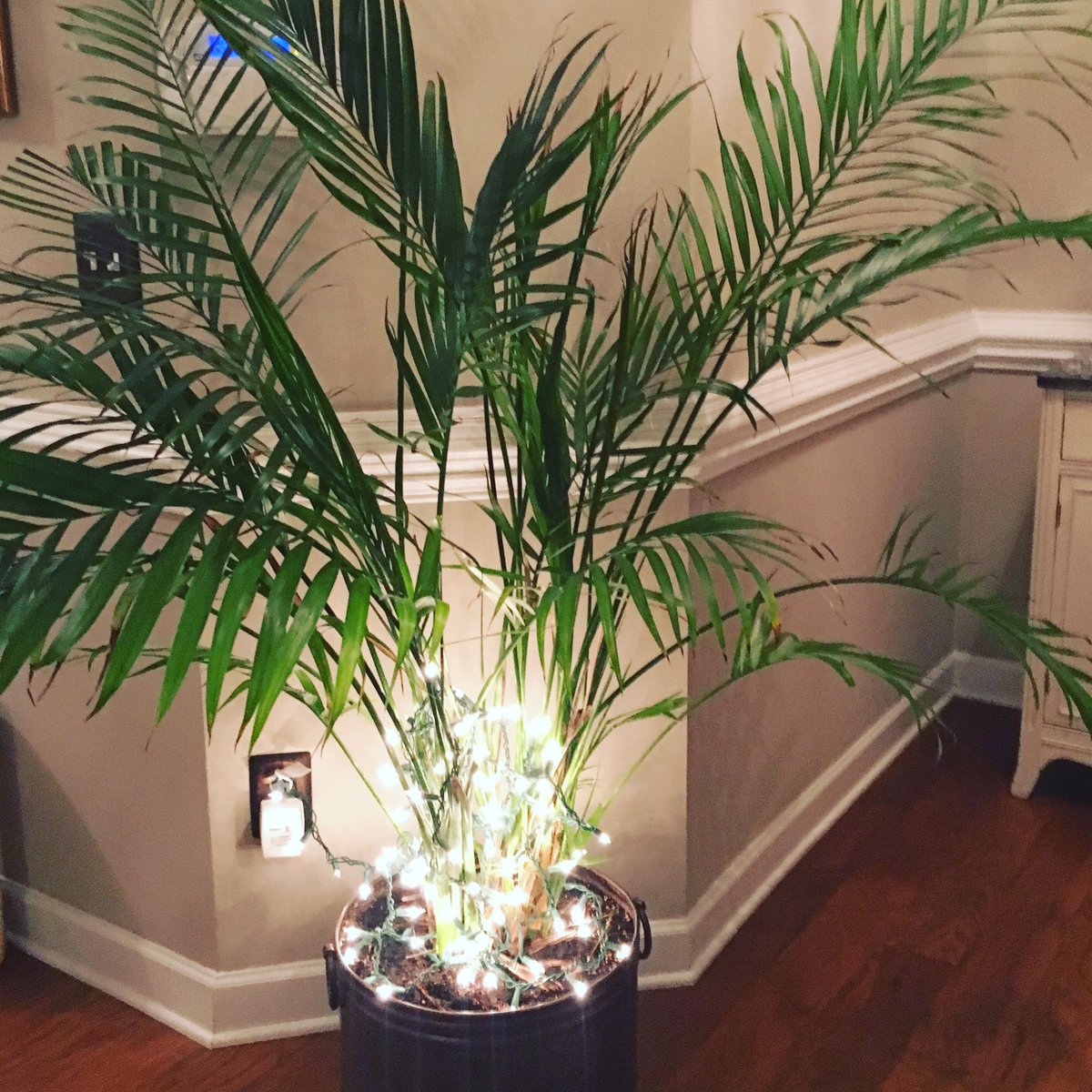 belladecor4you's tweet photo. Light up the night💡 #lifeisacelebration #fridaynightlights #homedecor #homedesign #yourhouseyourrules https://t.co/fKreIFCBy2