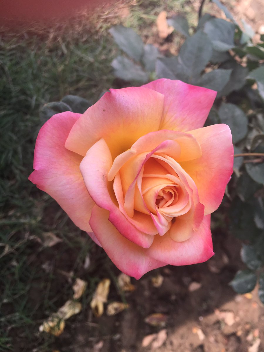 jha_anita's tweet photo. पानी जो भी आज़ाद हमने कब रहने दिया 
बाँध बनाकर इसका भी हाथ पैर बाँध दिया
Good morning
@baba_dfresh @sas0786 @manjuthakur937 @ajoybahadursbi https://t.co/I515lqirAV
