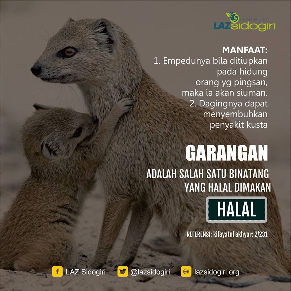 Hukumemakanhewan Hashtag On Twitter