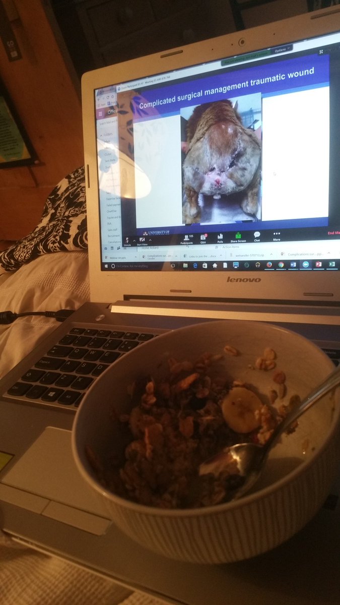 MeganThewebvet's tweet photo. Dogs bottoms &amp; breakfast ... not a great combo but definitely a great webinar with Jon Hall on wound management @thewebinarvet #vc2017 https://t.co/depdNxdqZ3