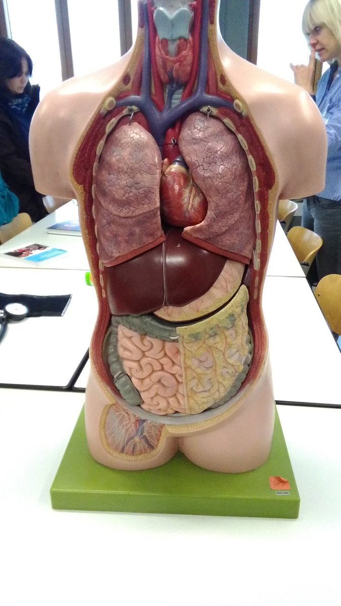 RahelHirsch's tweet photo. #Gesundheit #medizin #rahel_Hirsch https://t.co/1Hv2fZS0kj