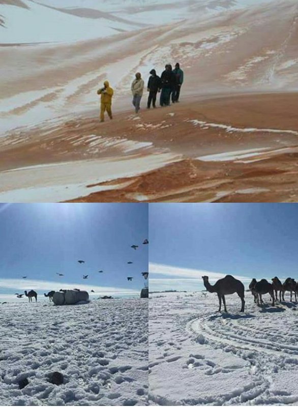 selya_gemi's tweet photo. #اكتشف_الجزائر #السياحة_في الجزائر #الثلوج تغطي#صحراء #الجزائر
#disert #algerie #algerie #neige 
مناظر لا تراها إلا في الجزائر😍😍 https://t.co/05z7cXqJYf