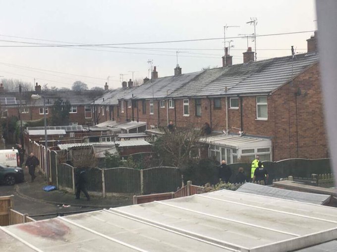 View image on Twitter