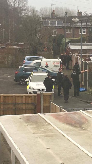 View image on Twitter