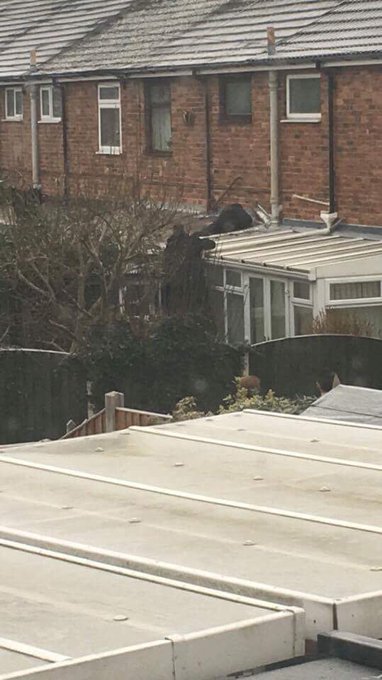 View image on Twitter View image on Twitter