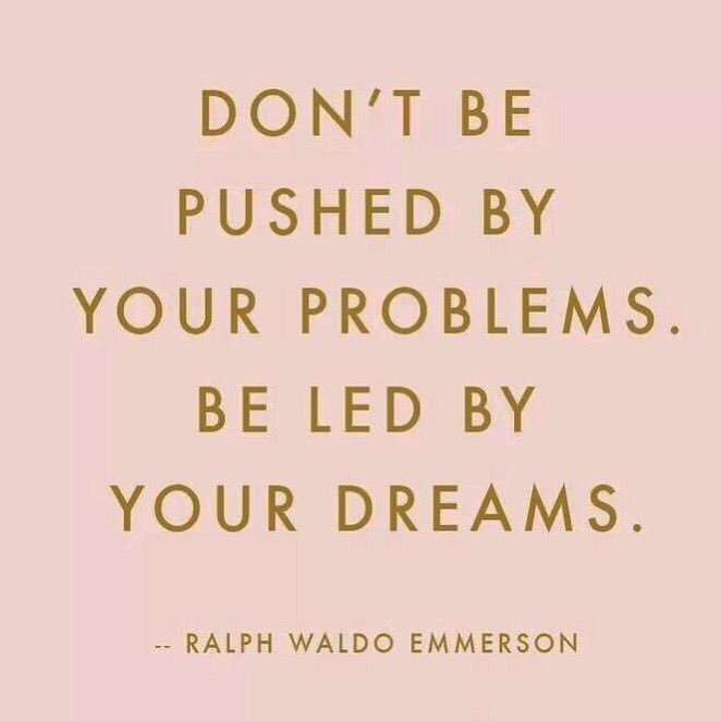 Candice Stewart tweet media