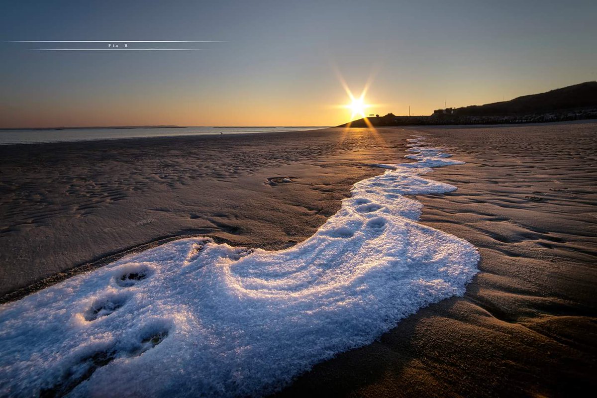 Bigand Florian tweet media