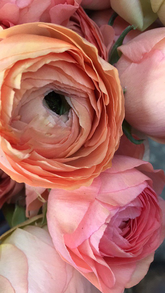 Have a lovely weekend...