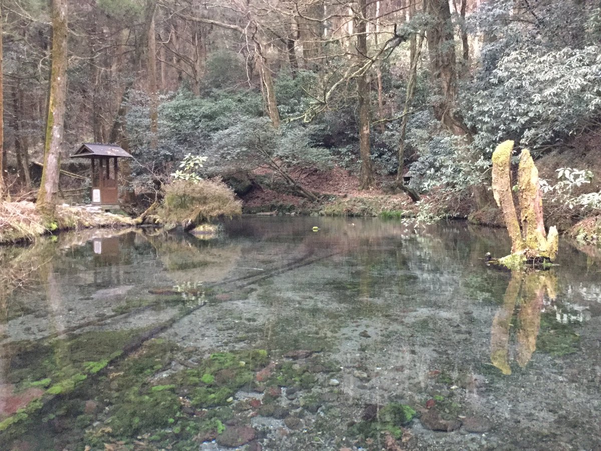 watanabejuan's tweet photo. 熊本県阿蘇郡産山村にある「池山水源」です。何年か前に行ってすごく良かったので、また行ってみましたが、、、やっぱり良いです。オススメの水源です。 https://t.co/IJS3dI1Jga