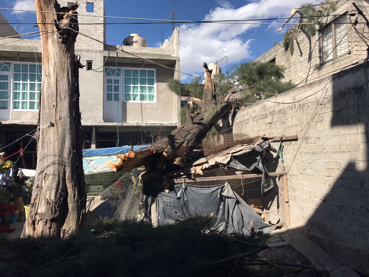 PCivilTlahuac's tweet photo. @RigoSalgadoV @SPCCDMX @TlahuacRenace #VientosFuertes provoca #Caida #Arbol en #Tlahuac @SerUrbaTlahuac #Atiende https://t.co/bhvGo6ApyZ