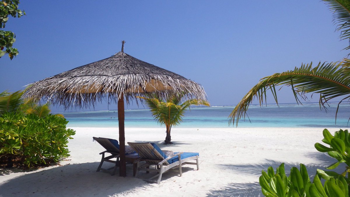 9pRjs's tweet image. 凄すぎて❗️言葉が出てこないよ😏😏