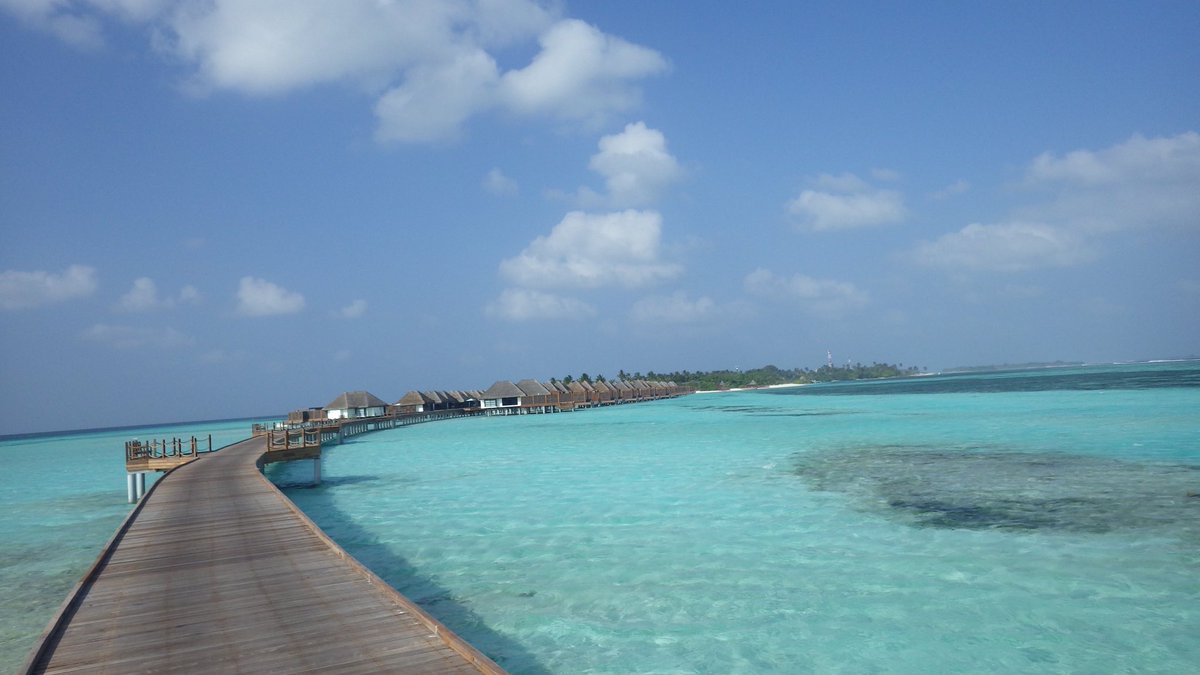 9pRjs's tweet image. 凄すぎて❗️言葉が出てこないよ😏😏