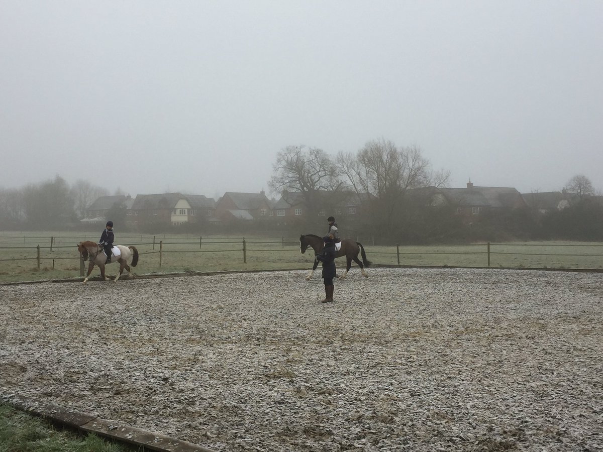 jennylevett's tweet photo. Must be mad dressage lessons early Saturday morning super keen kids #toptrainer @colinapickles  #inittowinit #minilevetts @TopSpec2 https://t.co/reDn4g9sdF