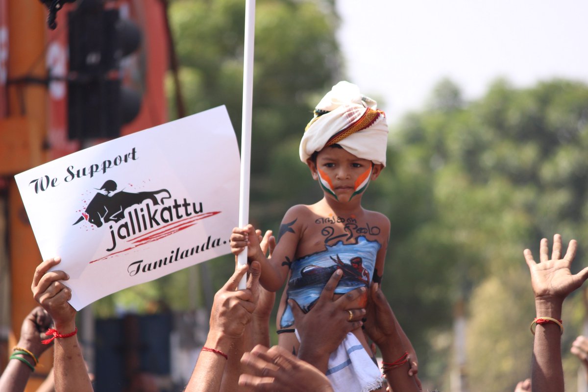 thamizheuyire's tweet photo. மதுரை பரியார் பேருந்து நிலையம் போராட்டக்களம்.
#AmendPCA | #JusticeforJallikattu | #JallikattuForSure https://t.co/iEAPvEjuMV