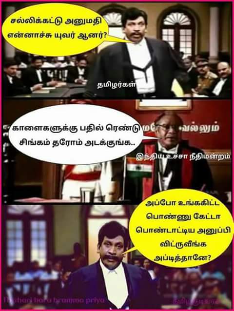 Rkraj001's tweet photo. #TNneeds jallikattu https://t.co/P8jg0s77Mt