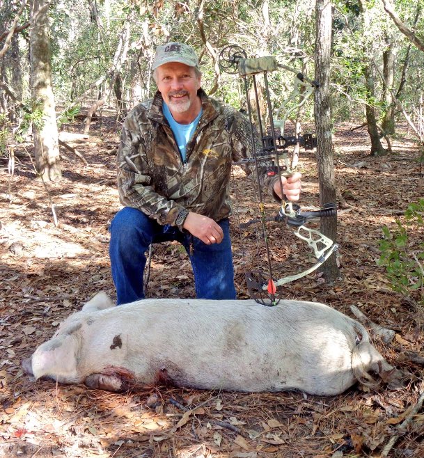 Just a few more #hogs killed, nothing massive but they sure taste good! #bacon #hunting #florida #vacation