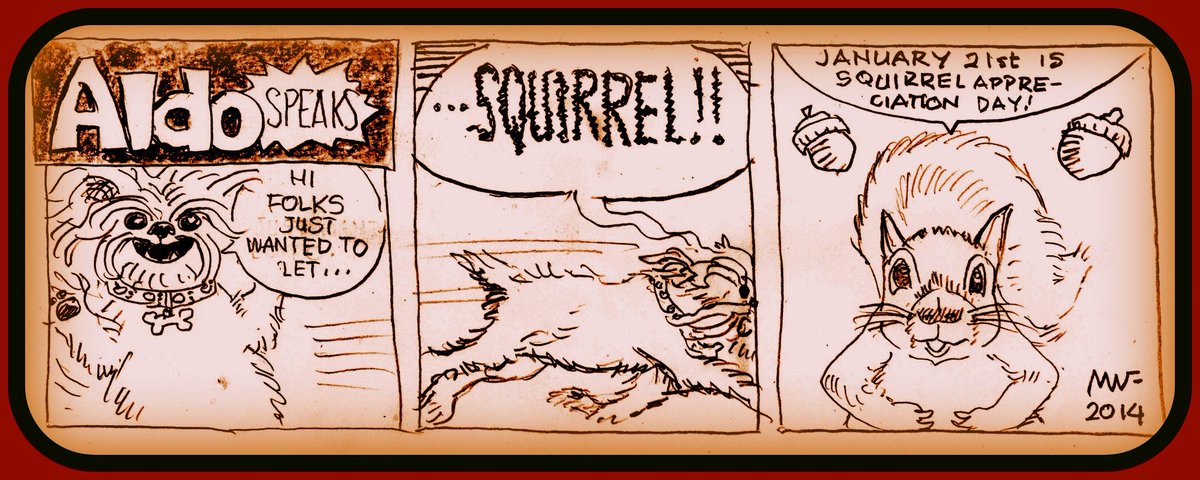 AuntSam2u's tweet image. @Sprocket_Cool Be on alert da squirrels are pawtyin' 2day! 😮