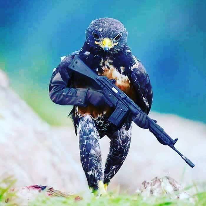 veridicodeworld's tweet image. Siempre ativo