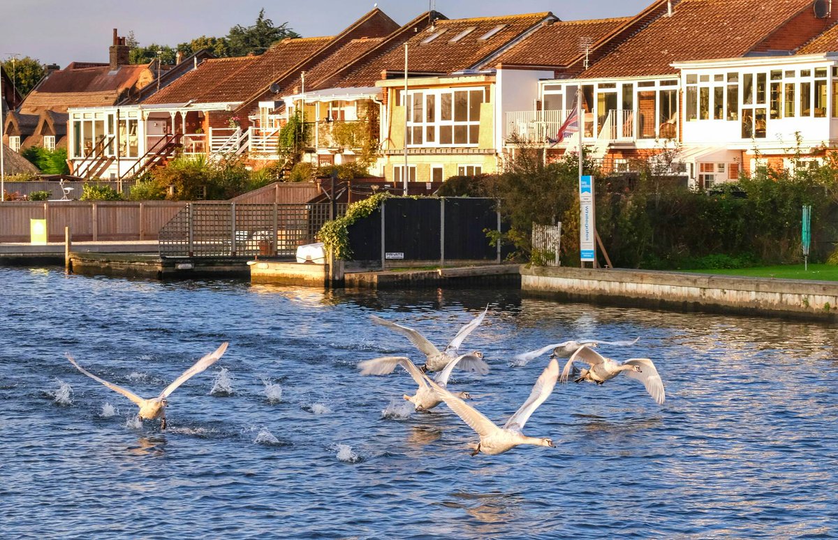 Iain Mallory tweet media