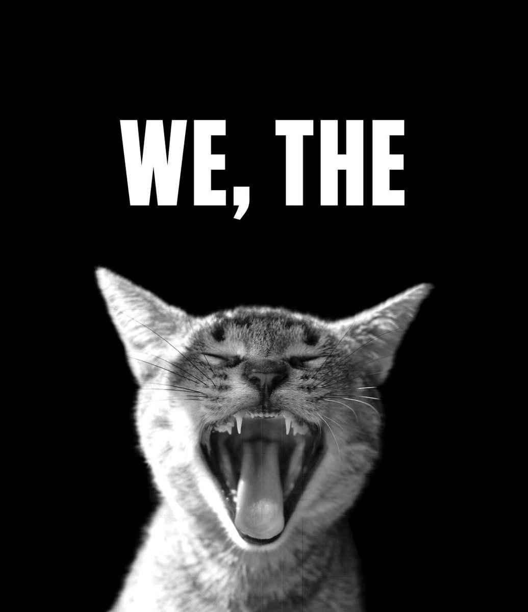 knutini's tweet photo. Ready AF. #WomensMarch https://t.co/aRWTCb5XIr