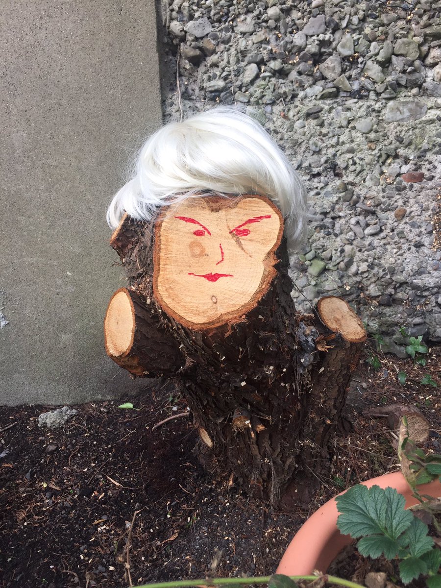 trotternell's tweet photo. Today we begin the removal of Donald Stump #shallowroots https://t.co/iuWdD9FADR