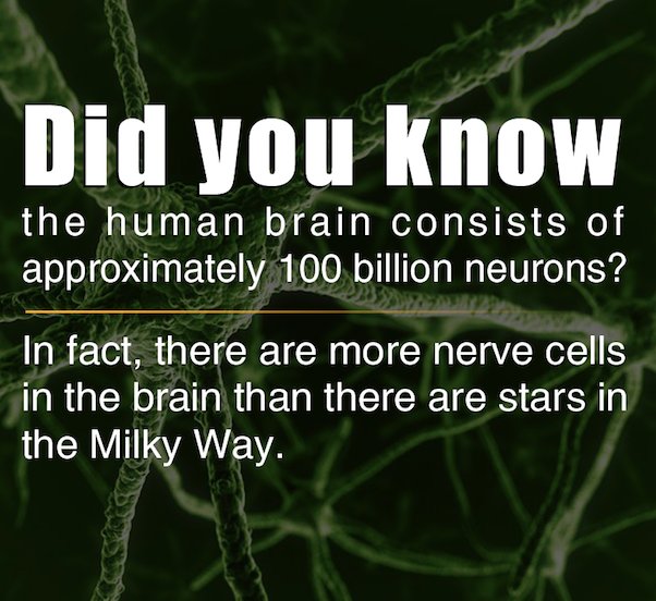There are more nerve cells in your brain than stars in the milky way, yes even yours Dan! #protectYourSpine #Spinex