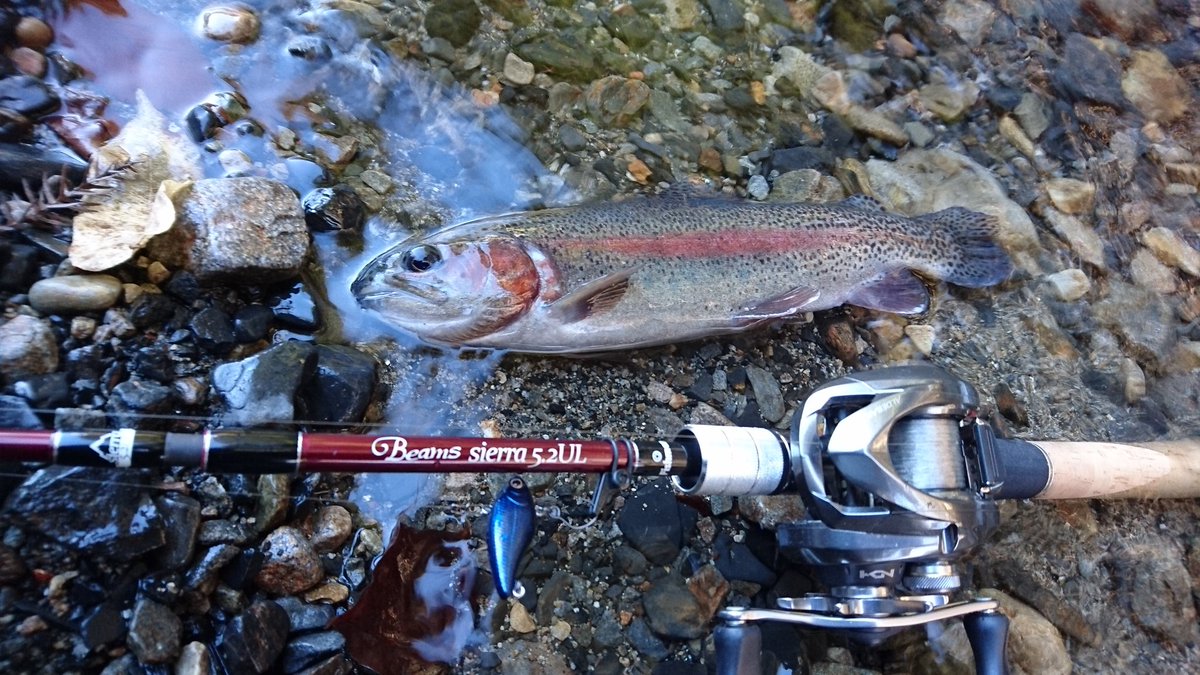 しゅう 釣りとジムニー 今日は奈良子釣りセンターに 寒さもnew防寒着で問題なし笑 朝ｲﾁ ヤマメ をゲットしてから 迷走 C Rエリアで綺麗なニジに癒されてから再びヤマメ狙い 午後になってﾌﾟﾁ連発 結果 ﾆｼﾞﾏｽ ｲﾜﾅ ﾔﾏﾒ ｱﾏｺﾞ グランドスラム