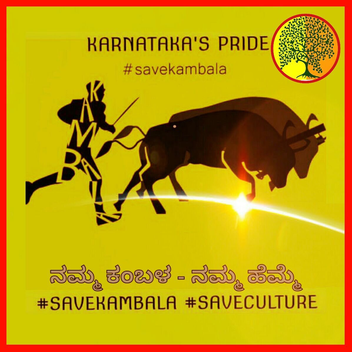 IgnitedBrain's tweet photo. Namma #Kambala https://t.co/dTdlt7WgIq