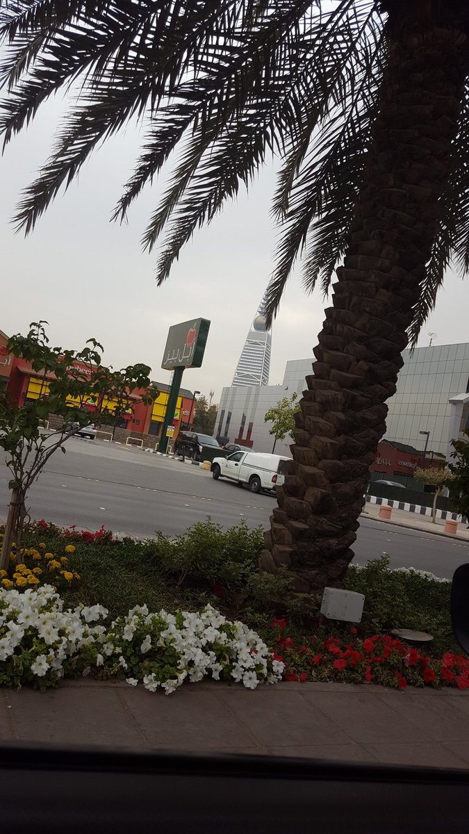 #الرياض