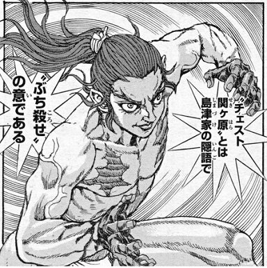 薩摩藩士 チェスト 意味 薩摩藩士 チェスト 意味
