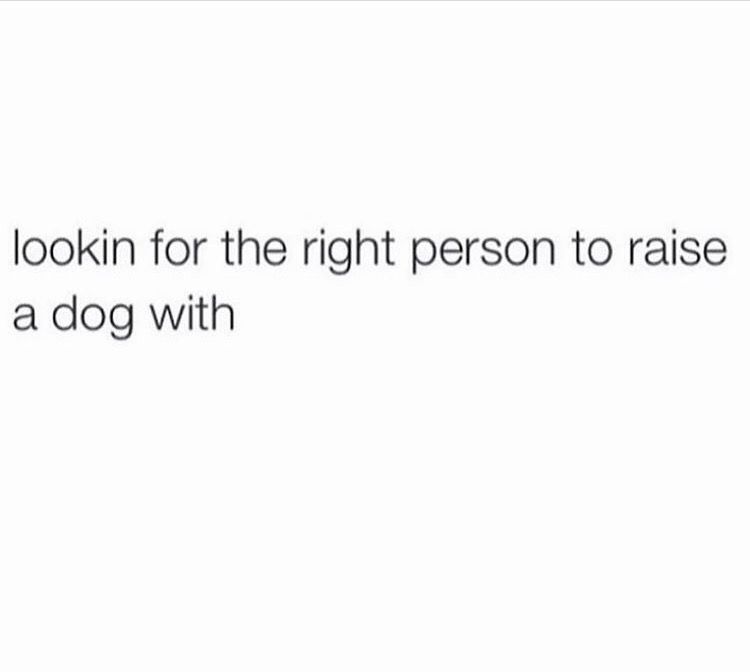 This would be my classified ad