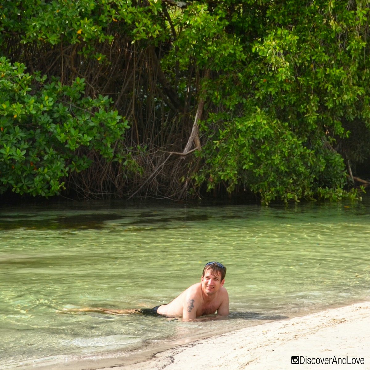 discoverandlove's tweet photo. As it was to be expected, the moment he saw the chance he jumped directly into the water, it's kind of irresistible to have the 'riveach'. https://t.co/Bly3l6LSj8
