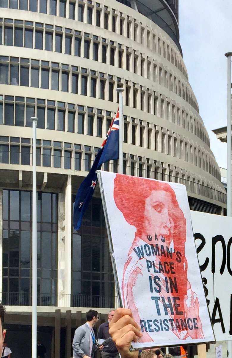 WIIS_NZ's tweet photo. Women's Rights are Human Rights (HRC) with General Organa (Princess Leia) and the #womenvotefirst New Zealand Parliament #WomensMarchNZ https://t.co/Z1p4qAkWkF