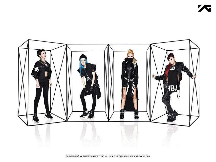 2009—2017
#NeverSayGOODBYE2NE1