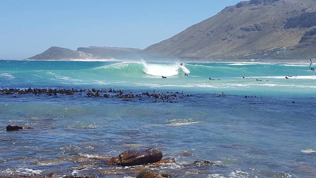 WestCoastLocal's tweet photo. Epic surf down South this morning. Tubes galore #surf #tubes #greenroom #summersurf #anoth… https://t.co/cUEy8wVlMk https://t.co/bWJnOG24fS