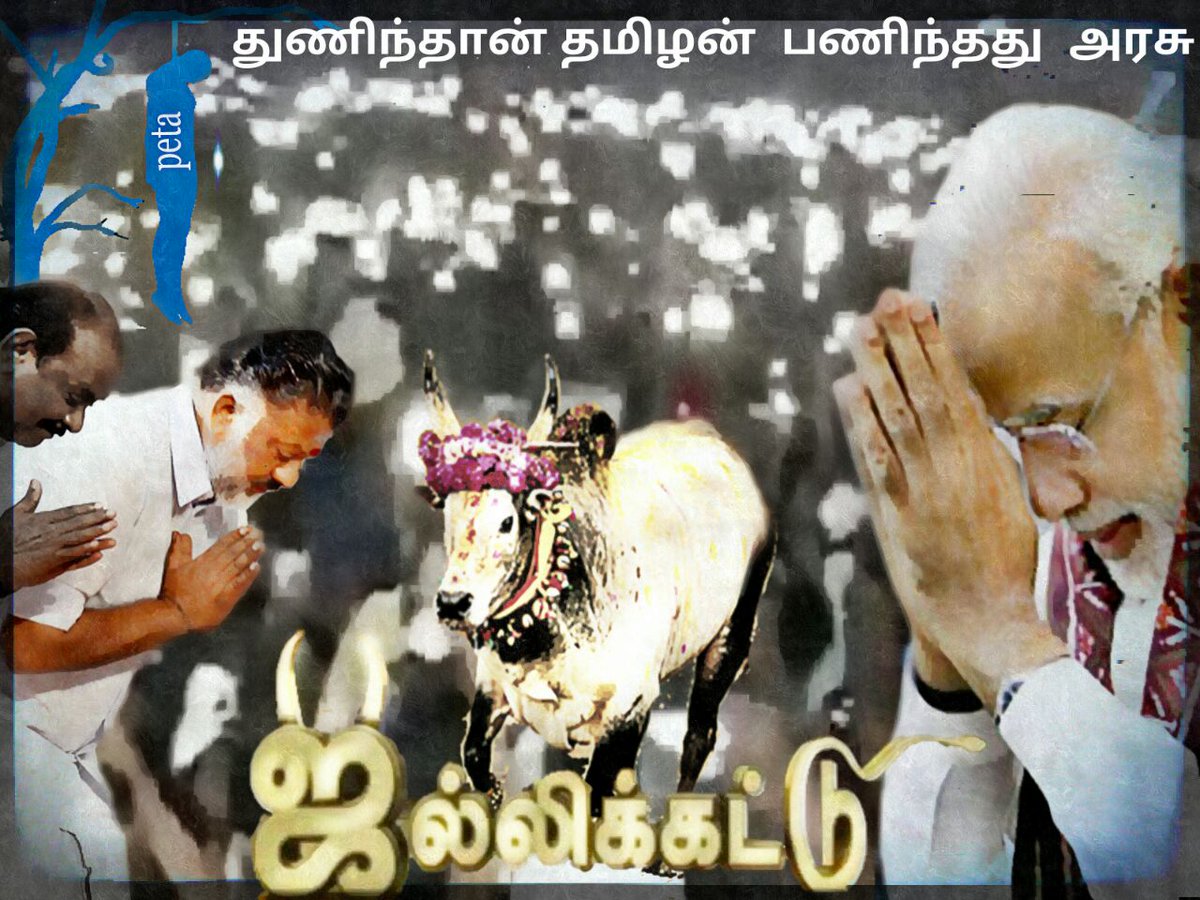 tnmachi's tweet photo. https://t.co/Xpg9uSmhH8

#jallikattu #Jallikattuprotest #JallikattuSlogans #jallikattufight #JallikattuForSure  #Jallikattu https://t.co/MKKVaseRGN
