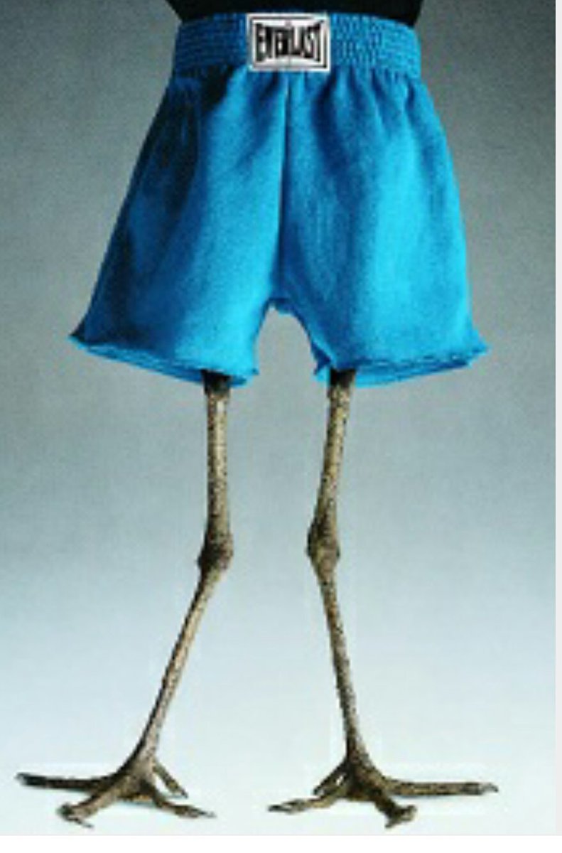 El Pasha 👳 tweet media